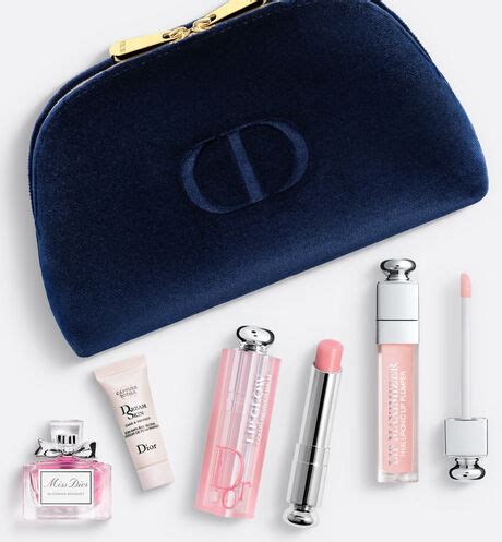 dior pouch gift